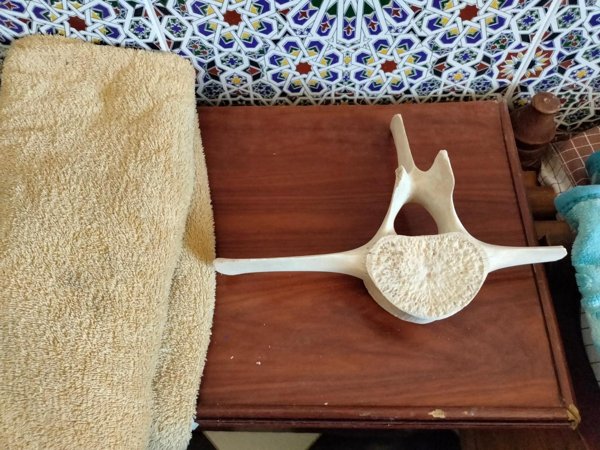Hotel El Ghazi Tarfaya Екстериор снимка